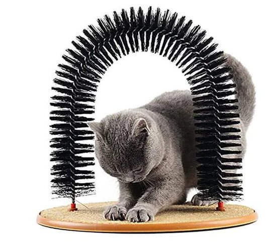 Cat using a self-grooming arch toy on a white background