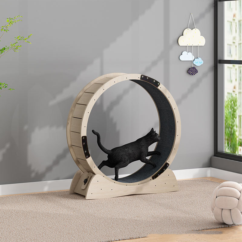 Cat Exercise Wheel & Treadmill – Silent-Spin Running Roller for Indoor Cats