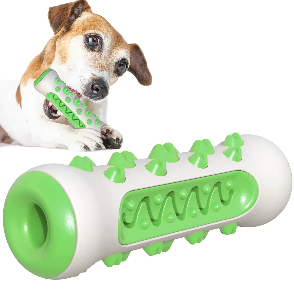 New Dog Chew Toy with Toothbrush and Treat Ball
