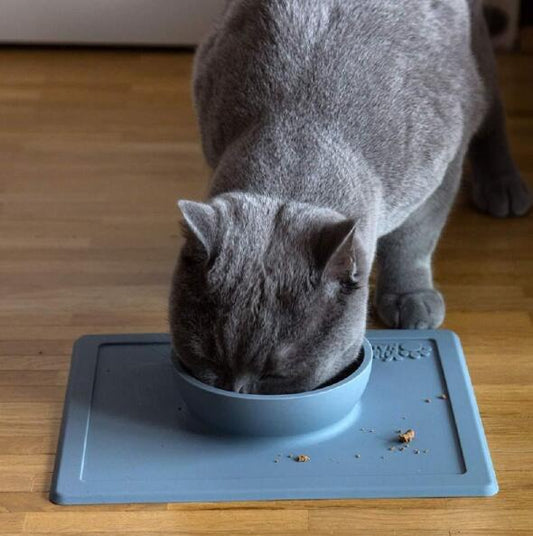 Non-Slip Silicone Pet Bowl with Suction Cup Base – Anti-Splash Design