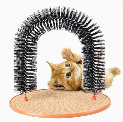 Cat playing with a self-grooming arch toy on a white background