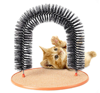 Cat playing with a black arch-shaped cat toy on a white background
