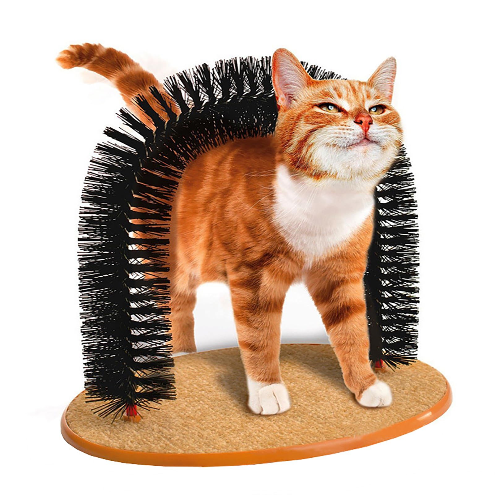 Cat standing on a self-grooming brush with black bristles and a cardboard base.