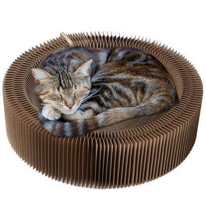 Cat sleeping on a cardboard cat bed with a white background