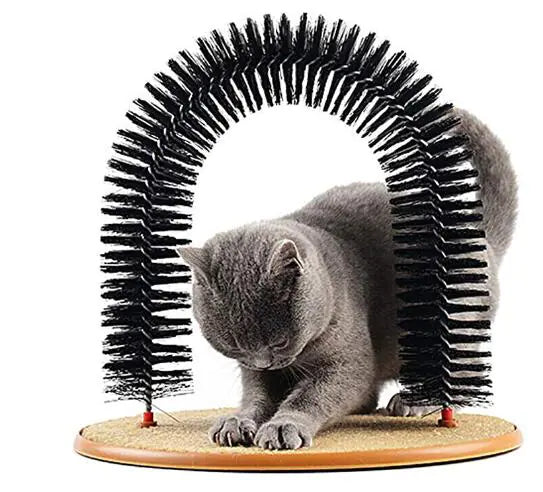 Cat using a self-grooming arch toy on a white background