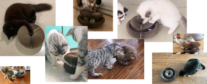 Collage of cats interacting with a cylindrical pet toy on various surfaces.