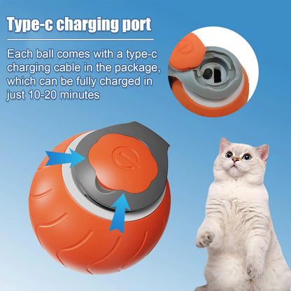 Speedy Whisker Cat Toy, Interactive Motion Toy for Cats, USB Rechargeable Cat Ball