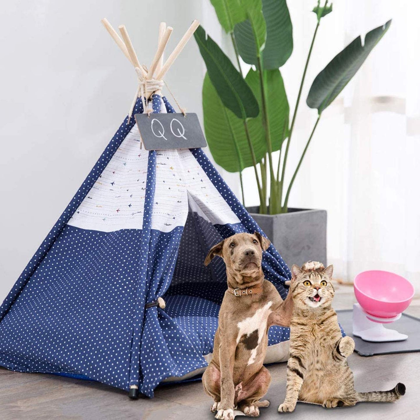 Pet teepee with star pattern and a sleeping dog inside