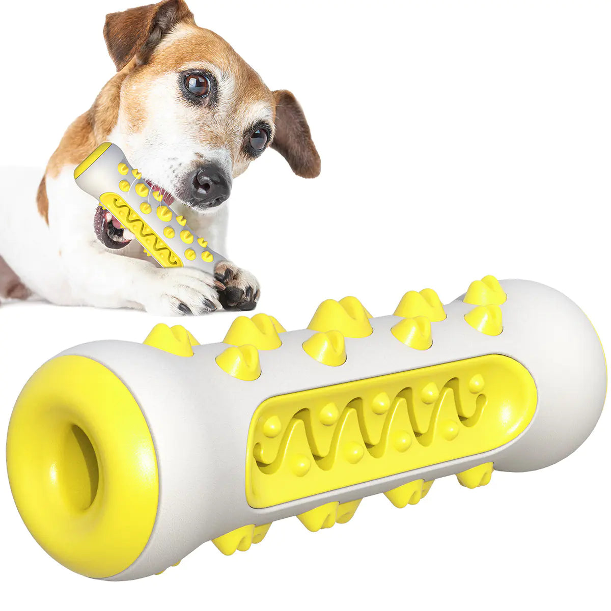 New Dog Chew Toy with Toothbrush and Treat Ball