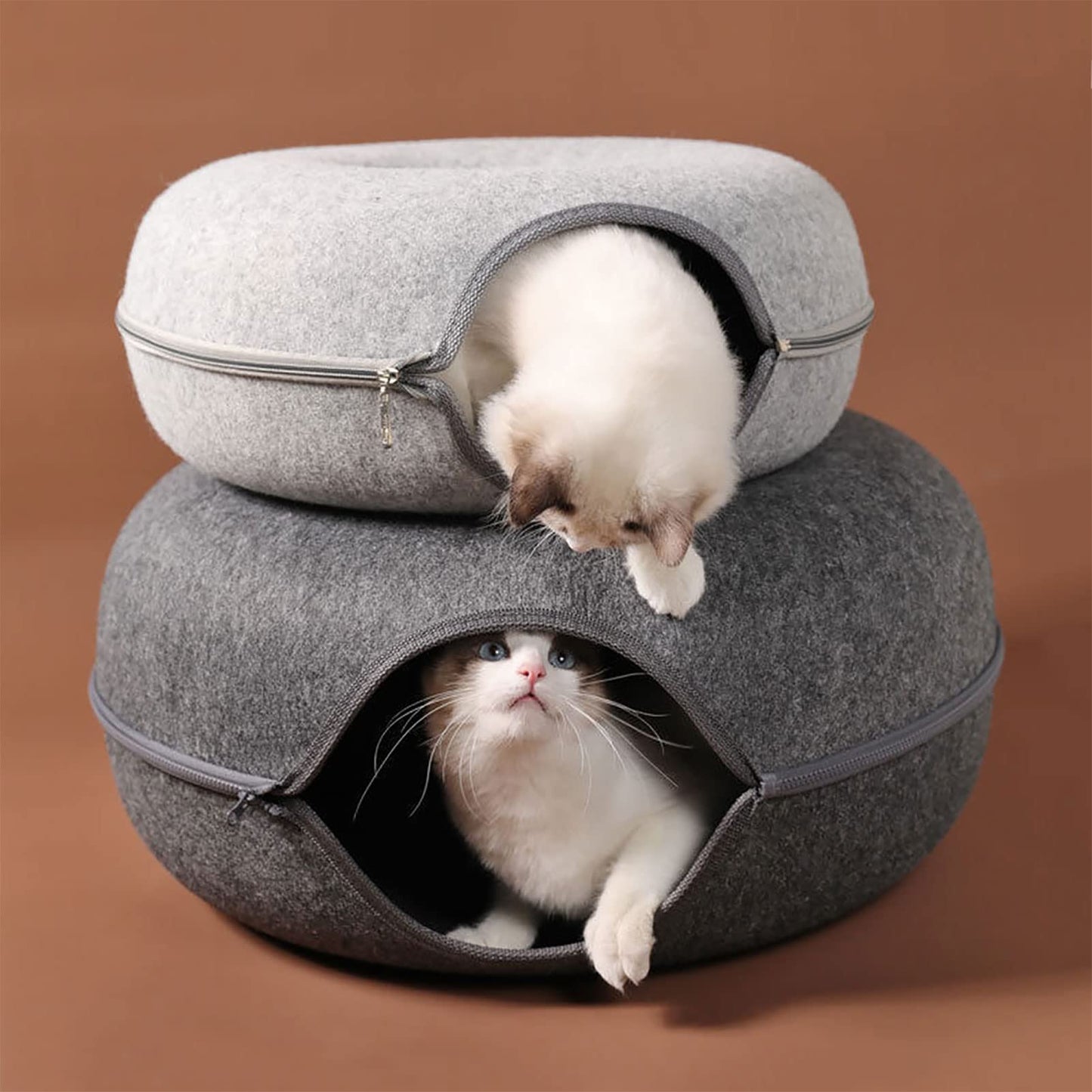 Two cats inside a double-layered gray pet bed on a brown background