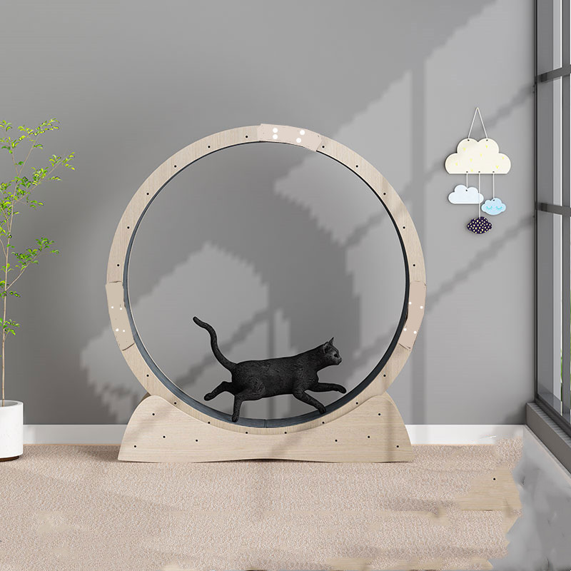 Cat Exercise Wheel & Treadmill – Silent-Spin Running Roller for Indoor Cats