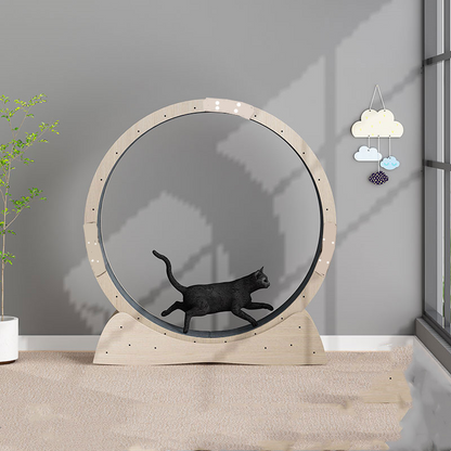 Cat Exercise Wheel & Treadmill – Silent-Spin Running Roller for Indoor Cats