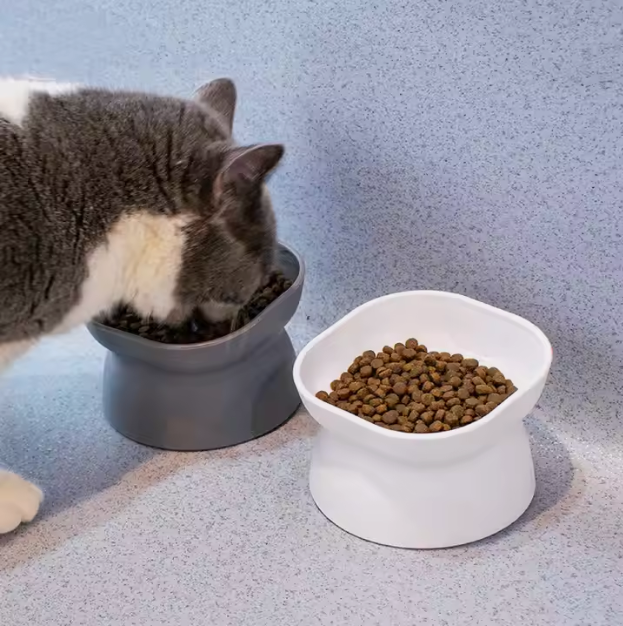 15° Tilted Ergonomic Pet Bowl – Raised Design for Neck & Joint Support