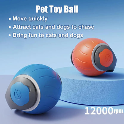 Speedy Whisker Cat Toy, Interactive Motion Toy for Cats, USB Rechargeable Cat Ball